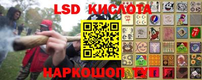 гидропоника Краснознаменск