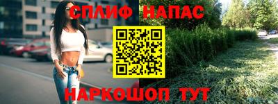 гидропоника Краснознаменск