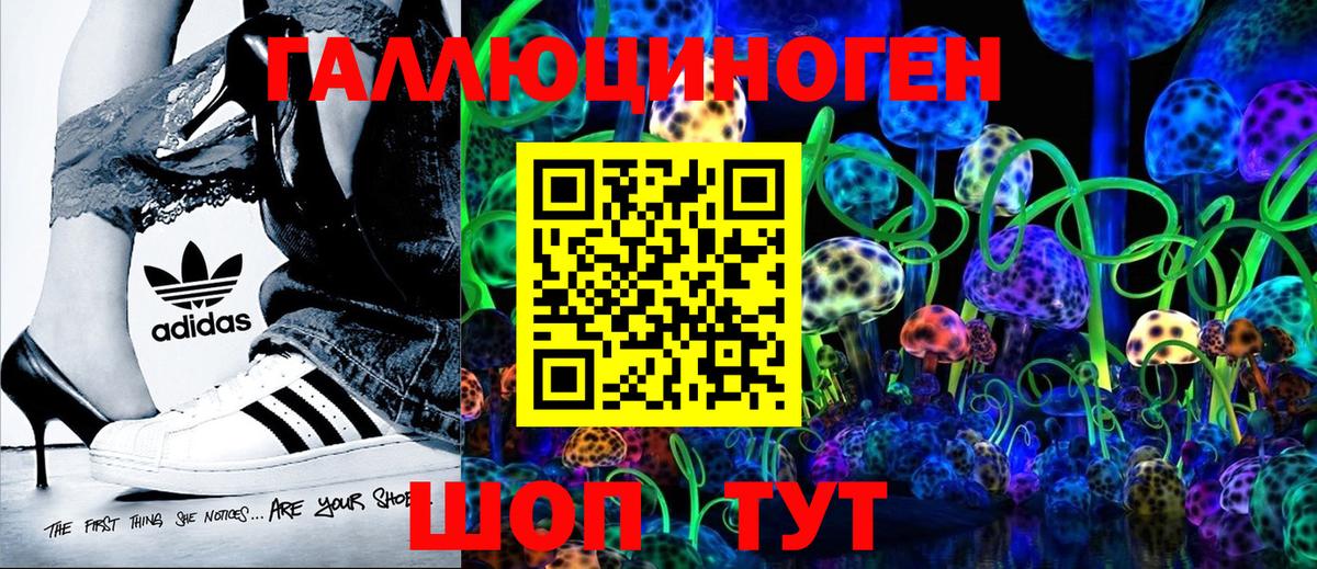 Галлюциногенные грибы Psilocybine cubensis Киров